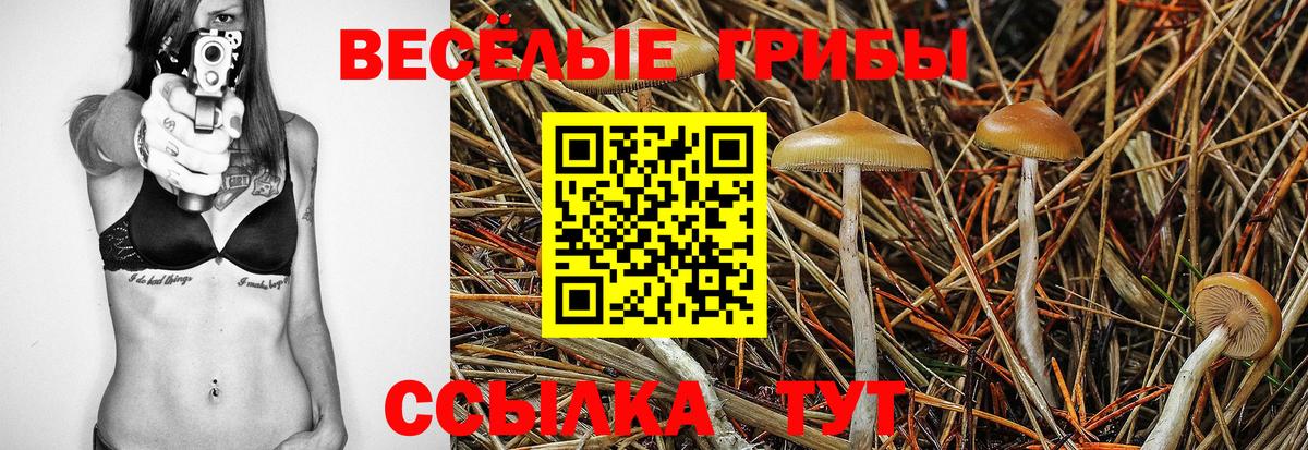 Канаш  Галлюциногенные грибы мицелий  Вход с VPN 
